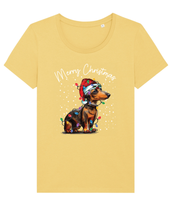 de Craciun cu luminite - Dachshund Jojoba