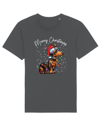 de Craciun cu luminite - Dachshund Anthracite