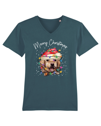 de Craciun cu luminite - Golden Retriever Stargazer
