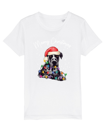 de Craciun cu luminite - Great Dane White
