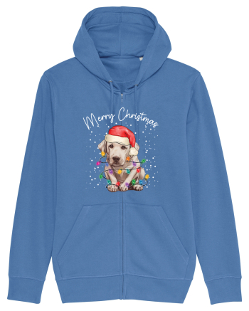 de Craciun cu luminite - Labrador Bright Blue