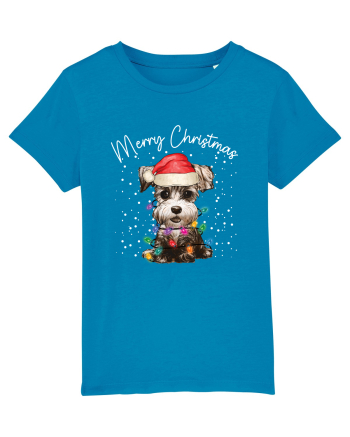 de Craciun cu luminite - Miniature Schnauzer Azur