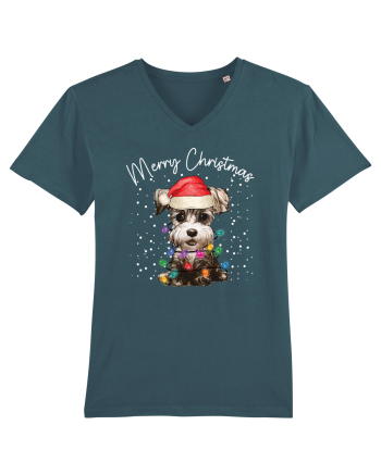 de Craciun cu luminite - Miniature Schnauzer Stargazer