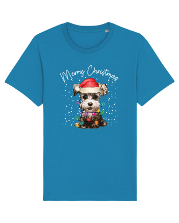 de Craciun cu luminite - Miniature Schnauzer Azur