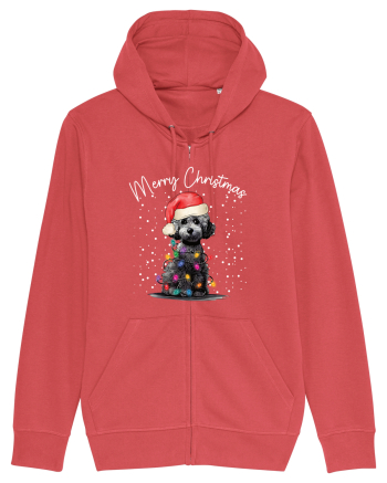 de Craciun cu luminite - Poodle Carmine Red