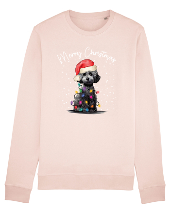de Craciun cu luminite - Poodle Candy Pink