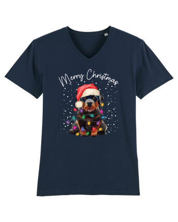 de Craciun cu luminite - Rottweiler French Navy
