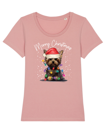 de Craciun cu luminite - Yorkshire Terrier Canyon Pink