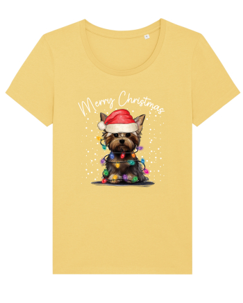 de Craciun cu luminite - Yorkshire Terrier Jojoba