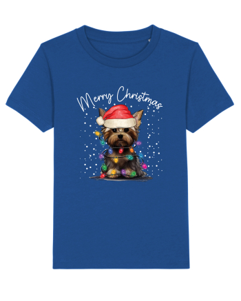de Craciun cu luminite - Yorkshire Terrier Majorelle Blue