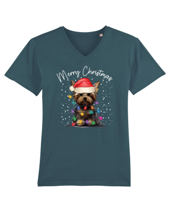 de Craciun cu luminite - Yorkshire Terrier Stargazer