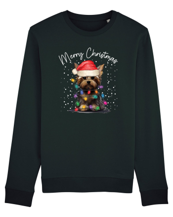 de Craciun cu luminite - Yorkshire Terrier Black