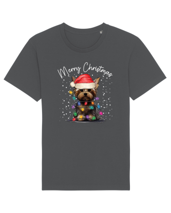 de Craciun cu luminite - Yorkshire Terrier Anthracite