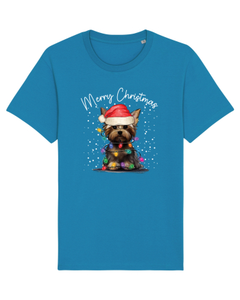 de Craciun cu luminite - Yorkshire Terrier Azur