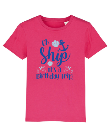 Oh ship, it's a birthday trip Raspberry