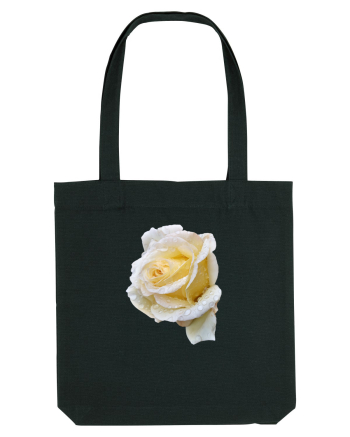 Trandafir romantic alb dupa ploaie Black
