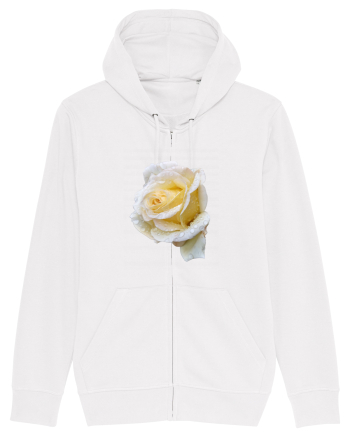 Trandafir romantic alb dupa ploaie White