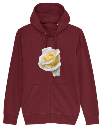 Trandafir romantic alb dupa ploaie Burgundy