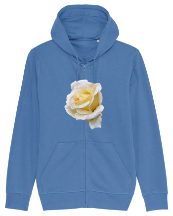 Trandafir romantic alb dupa ploaie Bright Blue