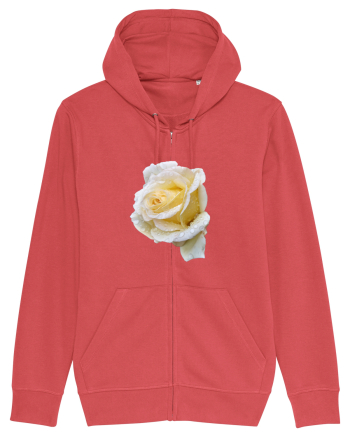 Trandafir romantic alb dupa ploaie Carmine Red