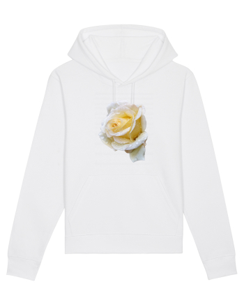 Trandafir romantic alb dupa ploaie White
