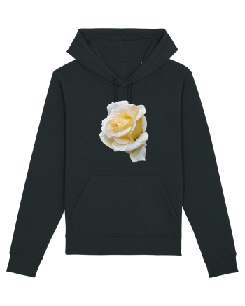 Trandafir romantic alb dupa ploaie Black