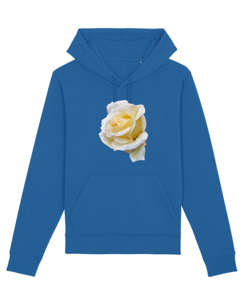 Trandafir romantic alb dupa ploaie Royal Blue