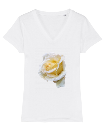 Trandafir romantic alb dupa ploaie White