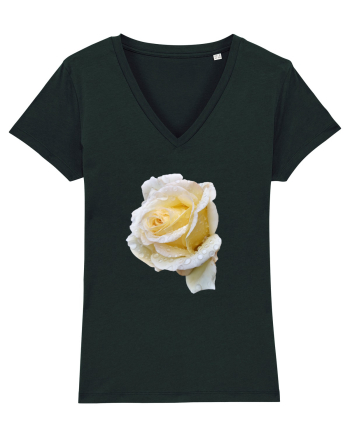 Trandafir romantic alb dupa ploaie Black