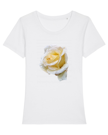 Trandafir romantic alb dupa ploaie White