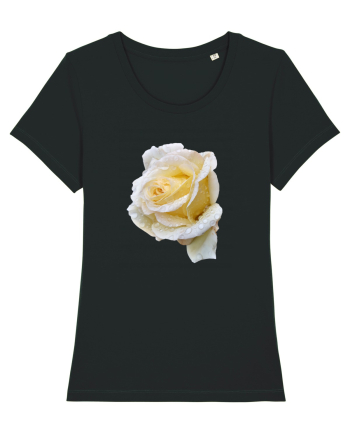 Trandafir romantic alb dupa ploaie Black