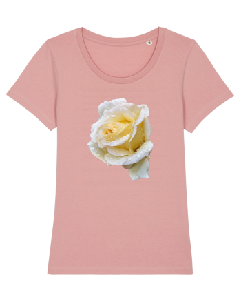 Trandafir romantic alb dupa ploaie Canyon Pink