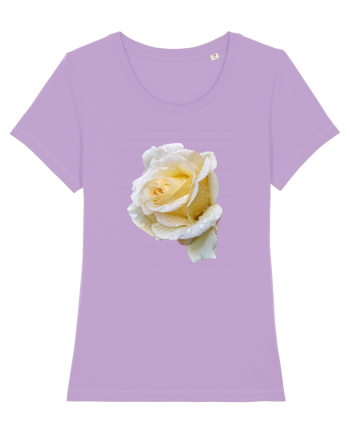 Trandafir romantic alb dupa ploaie Lavender Dawn