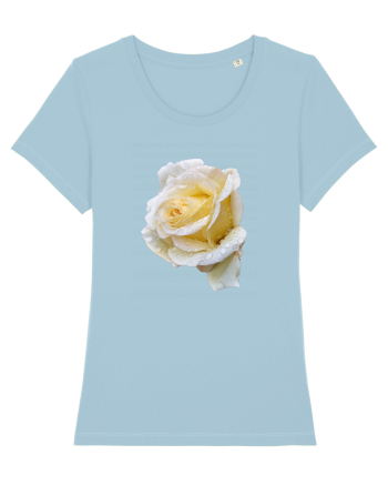 Trandafir romantic alb dupa ploaie Sky Blue