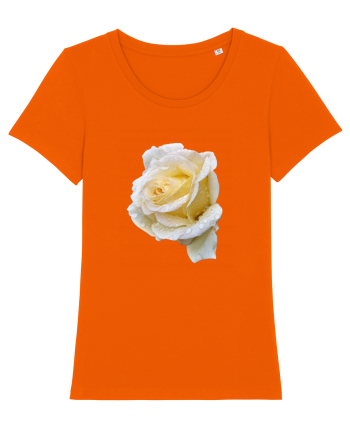 Trandafir romantic alb dupa ploaie Bright Orange
