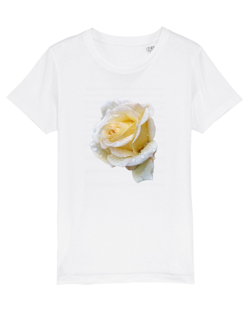 Trandafir romantic alb dupa ploaie White