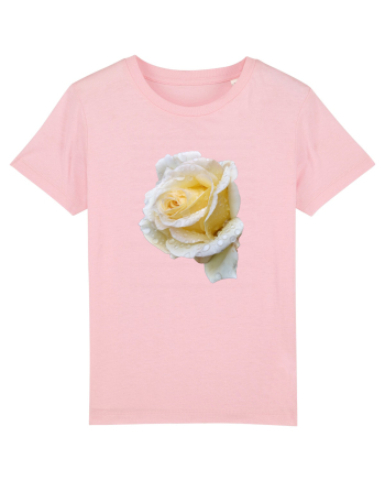 Trandafir romantic alb dupa ploaie Cotton Pink