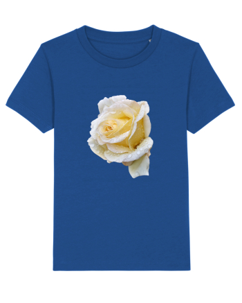 Trandafir romantic alb dupa ploaie Majorelle Blue