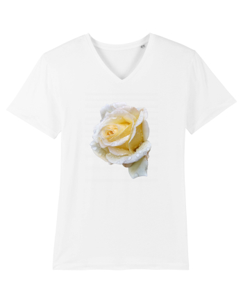Trandafir romantic alb dupa ploaie White