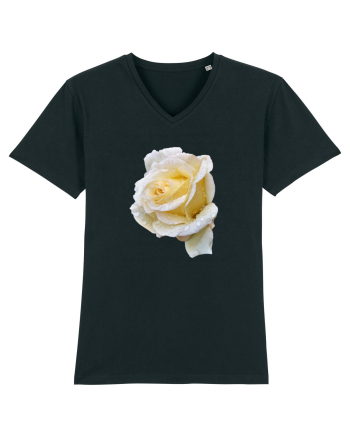 Trandafir romantic alb dupa ploaie Black