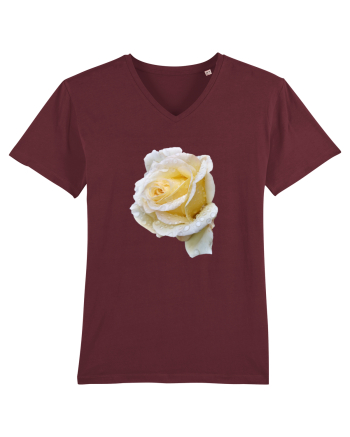 Trandafir romantic alb dupa ploaie Burgundy