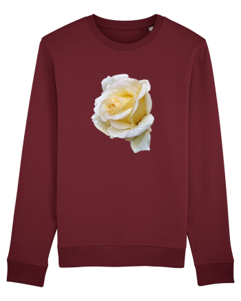 Trandafir romantic alb dupa ploaie Burgundy