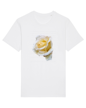 Trandafir romantic alb dupa ploaie White