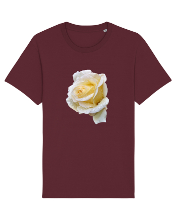 Trandafir romantic alb dupa ploaie Burgundy