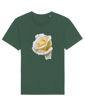Trandafir romantic alb dupa ploaie Bottle Green
