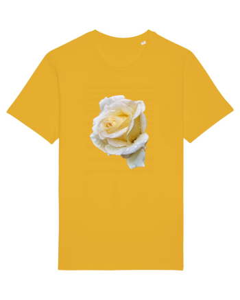Trandafir romantic alb dupa ploaie Spectra Yellow