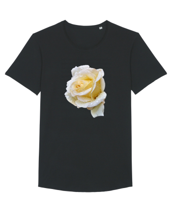 Trandafir romantic alb dupa ploaie Black