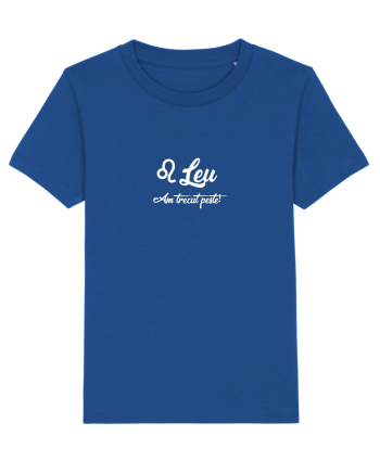 Leu Majorelle Blue