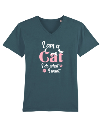 I am a CAT Stargazer