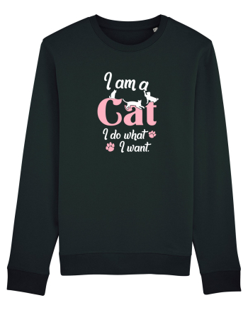 I am a CAT Black